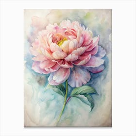 Peony Canvas Print