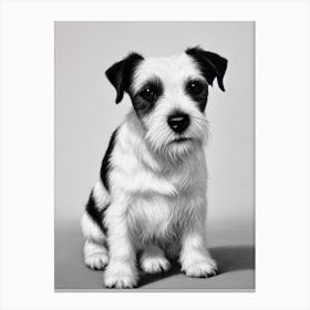 Parson Russell Terrier B&W Pencil dog Canvas Print