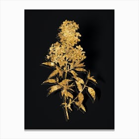 Vintage Persian Lilac Botanical in Gold on Black Canvas Print