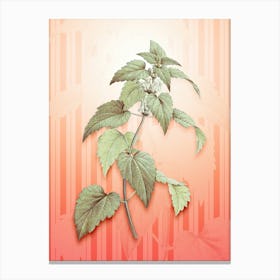 White Dead Nettle Plant Vintage Botanical in Peach Fuzz Awning Stripes Pattern n.0019 Canvas Print