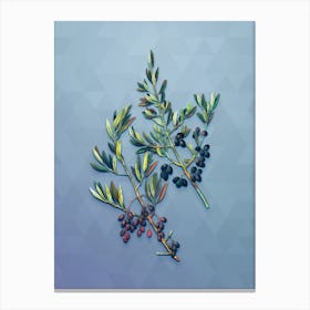 Vintage Wild Olive Botanical Art on Summer Song Blue n.1861 Canvas Print