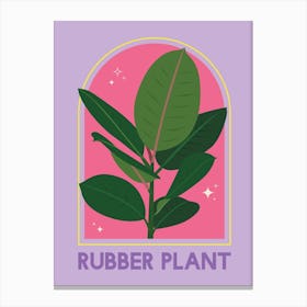 Rubber Plant Canvas Print