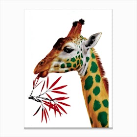 Giraffe 6 Canvas Print