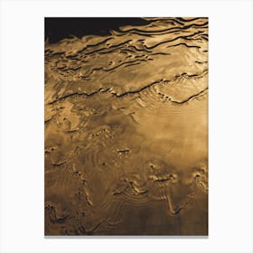 Gold Paint II Canvas Print