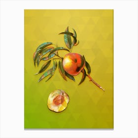 Vintage Peach Botanical Art on Empire Yellow n.1461 Canvas Print
