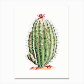 Spider Cactus Marker Art Canvas Print