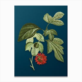 Vintage Paper Mulberry Flower Botanical Art on Teal Blue n.0818 Canvas Print