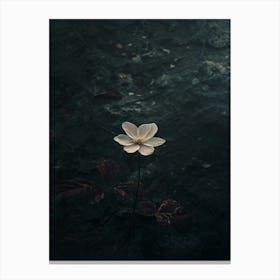 Lotus Flower 41 Canvas Print