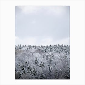 White Winter Forest Canvas Print