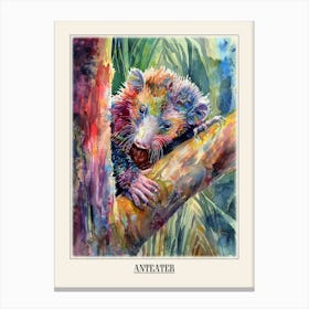Anteater Colourful Watercolour 3 Poster Canvas Print