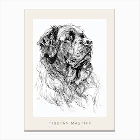 Tibetan Mastiff Dog Line Sketch 1 Poster Canvas Print