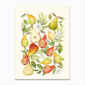 Pears Canvas Print