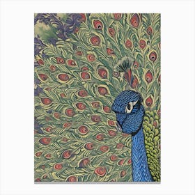 Peacock 36 Canvas Print