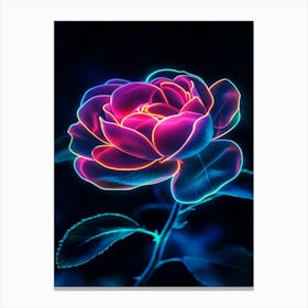 Pink Rose Wallpaper Canvas Print