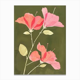 Pink & Green Bougainvillea 1 Canvas Print