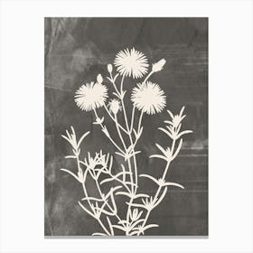 Wildflowers In Gray, Minimalist Botanical 1 Canvas Print