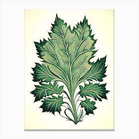 Skullcap Leaf Vintage Botanical 1 Canvas Print