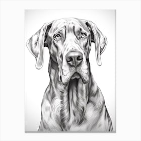 Great Dane Dog, Line Drawing 3 Canvas Print