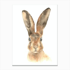 Hare Canvas Print