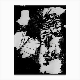 Black And White Abstract Nature Canvas Print
