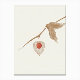 Physalis Groundcherry Watercolor Canvas Print