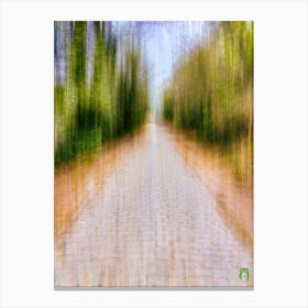 Road In The Woods 2023042312261rt1pub Canvas Print