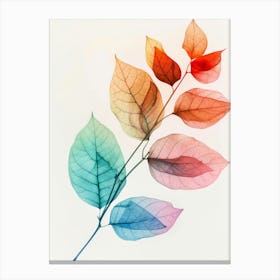 Watercolor Leaves 26 Canvas Print