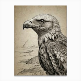 Eagle 8 Canvas Print