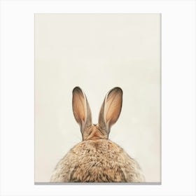 Rabbit Canvas Print