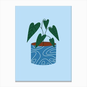 Pot Plant Canvas Print
