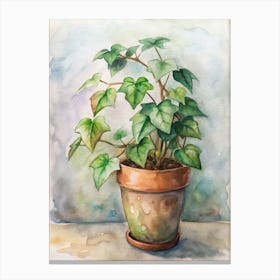 Ivy In A Pot Canvas Print