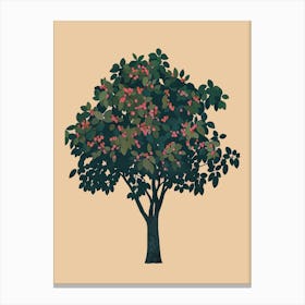 Walnut Tree Colourful Illustration 3 Canvas Print