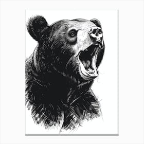 Malayan Sun Bear Growling Ink Illustration 3 Canvas Print
