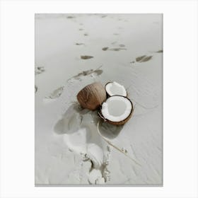 Coconuts On The Beach 1 Canvas Print