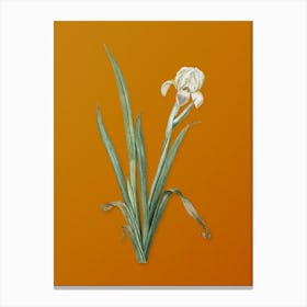 Vintage Crimean Iris Botanical on Sunset Orange n.0667 Canvas Print