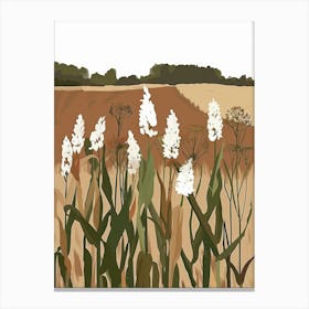 Field Of Corn Canvas Print