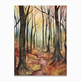 Autumn Forest Landscape Black Forest Germany 2 Canvas Print