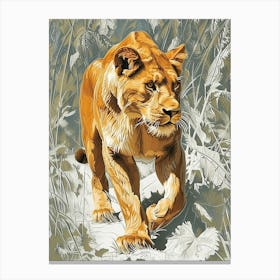 African Lion Relief Illustration Lionesss 2 Canvas Print