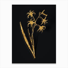 Vintage Gladiolus Cuspidatus Botanical in Gold on Black 1 Canvas Print