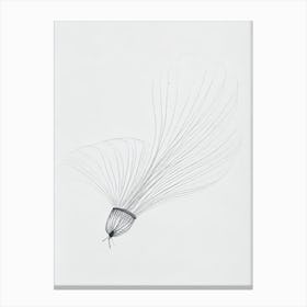 Box Jellyfish Black & White Drawing Canvas Print