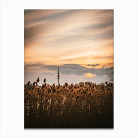 Hamburg Sunset Over Reeds Canvas Print