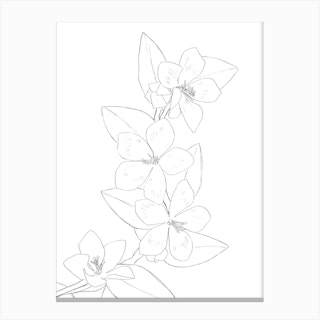 Blooming Branch Line Canvas Print