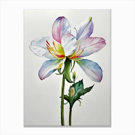 Lily Of The Valley 27 Canvas Print