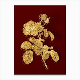 Vintage Provence Rose Botanical in Gold on Red Canvas Print