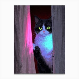 Cat Peeking Out Of Curtains Canvas Print