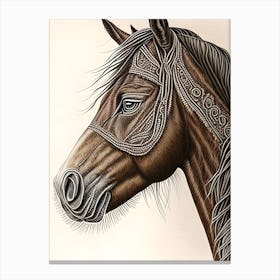 Braidedhorse Canvas Print