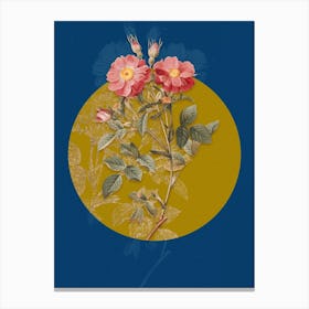 Vintage Botanical Queen Elizabeth's Sweetbriar Rose on Circle Yellow on Blue Canvas Print