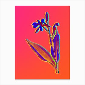 Neon Bandana of the Everglades Botanical in Hot Pink and Electric Blue n.0182 Canvas Print