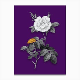 Vintage White Rose Black and White Gold Leaf Floral Art on Deep Violet n.0636 Canvas Print