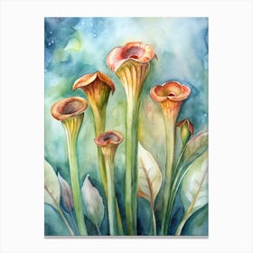 Carnivorous Flowers Canvas Print